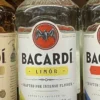 Bacardi