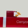 canyon